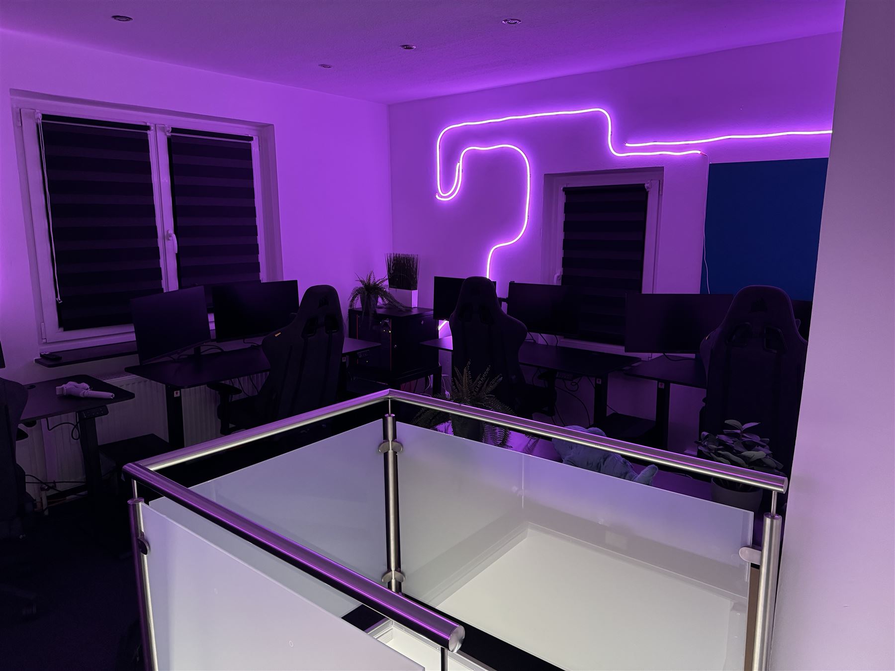 Trainingsraum mit violetter Neon-Beleuchtung, nutzbar auch für Content-Produktion
